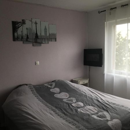 2 Pieces - Quartier Calme - Parking Gratuit Apartment Metz Ngoại thất bức ảnh